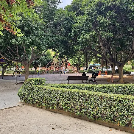 Ciencias S 발렌시아